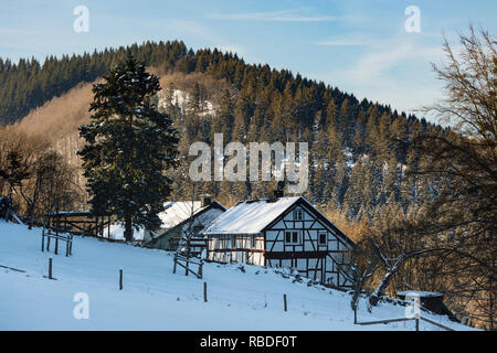 Fachwerkhäuser in der Nähe des nördlichen Eifeldorf Monschau Rohren im Winter, Deutschland. Stockfoto