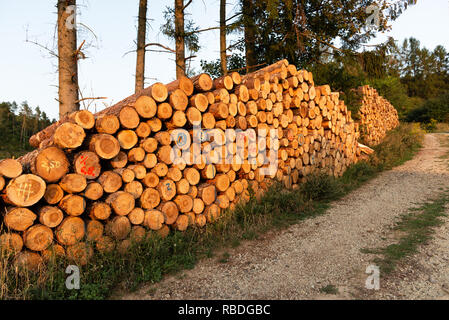 Schnittholz Stapeln aufgeschichtet auf der Seite der Landstraße. Schneiden Baum Holz stapelten sich Trunks in der Forststraße. Umwelt Forstwirtschaft Konzept. Stockfoto