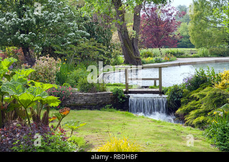 Wunderschön gestalteten Garten mit einem kleinen Wasserfall mit einem Teich, von Blumen, Sträuchern, Bäumen in der Blüte, im Sommer. Stockfoto