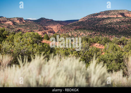 Blick auf die Red Rock Landschaft, mit blauem Himmel, von der Grand Staircase Escalante Region im südlichen Utah Stockfoto