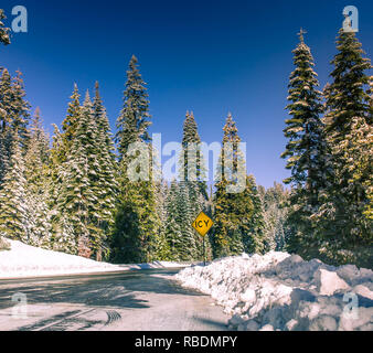 Vereisten Landstraße im verschneiten Wald im Winter. Die winterliche Landschaft mit schneebedeckten Straße. Straßensperrung Anmelden verschneite Straße in einem Winter Forest Stockfoto