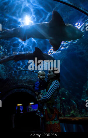 Ein nettes Foto von Mutter und Sohn beobachten Haie im Unterwasser Tunnel der Loro Parque, Teneriffa Stockfoto