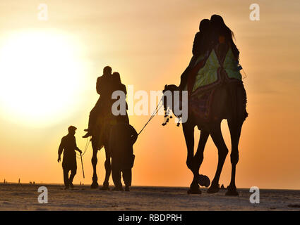 Besucher reiten auf Kamel in Weiß Rann an der grösseren Rann von Kutch, Gujarat, Indien Stockfoto