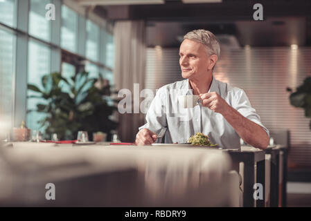 Ein leckeres Mittagessen. High-spirited alten Mann Tee trinken in einem Restaurant während dem Mittagessen Stockfoto