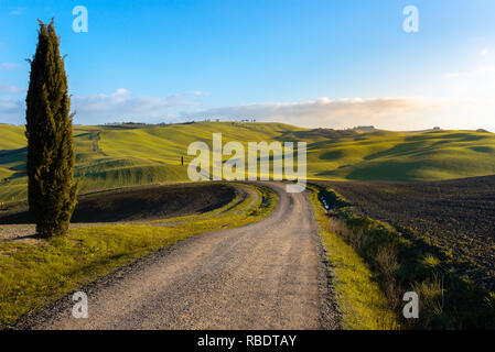 Toskanische Landschaft in der Nähe von San Quirico d'Orcia, mit grünen Hügeln und Zypressen, Italien Stockfoto