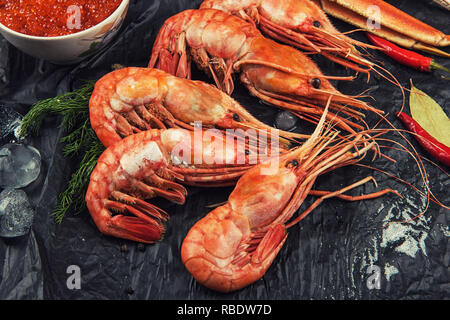 Nahaufnahme des fernöstlichen botan Garnelen Stockfoto