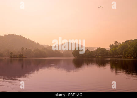 Sri Lanka Kandy See Temple Stockfoto