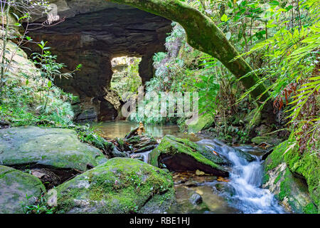 Höhle Interieur mit kleinen Fluss und See durch die Vegetation der brasilianische Regenwald umgeben Stockfoto