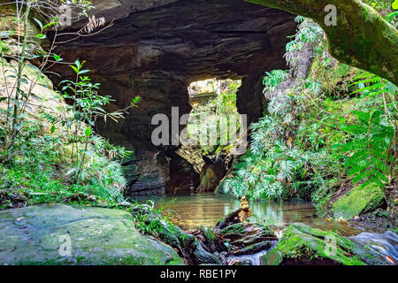 Höhle Interieur mit kleinen Fluss und See durch die Vegetation der brasilianische Regenwald umgeben Stockfoto