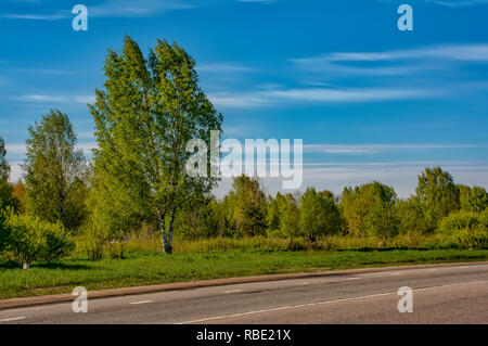 Sonnigen Sommermorgen außerhalb der Stadt am Ufer des sandigen Steinbruch. Stockfoto