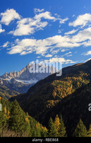 Herbstliche Blick auf bunte Wälder und den Berg Civetta von Falzarego Pass Dolomiten von Belluno Venetien Italien Europa Stockfoto