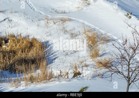 Winter Gras und Schnee Luftaufnahme Stockfoto