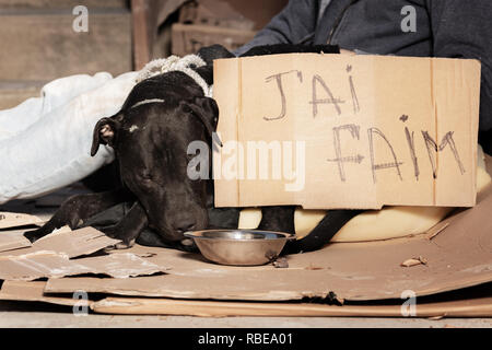 Houseless Hund und sein Besitzer auf der Stadt Bürgersteig Stockfoto