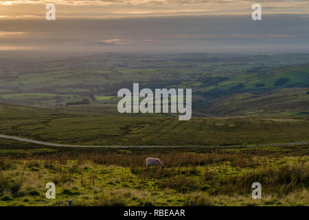 Blick über greenfell Heben von hartside Top auf der A686 zwischen Alston und Melmerby, Cumbria, England, Großbritannien - Mit dem Lake District in den nebligen backgr Stockfoto