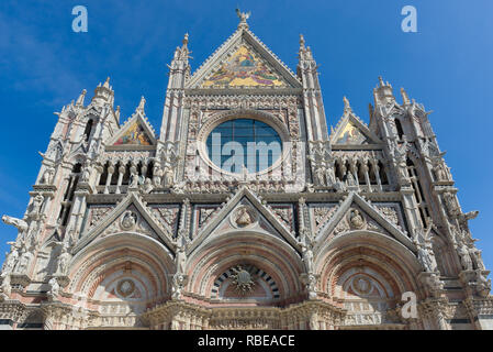 Der Dom von Siena, die sich mit der Aufnahme der seligen Jungfrau Maria, Italien Stockfoto