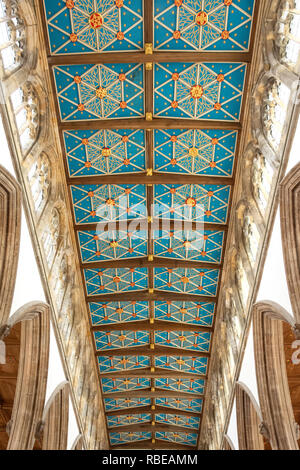 Innenraum mittelschiff Decke, Rumpf Münster, Kirche Seite, Kingston upon Hull, East Riding von Yorkshire, England, Vereinigtes Königreich Stockfoto