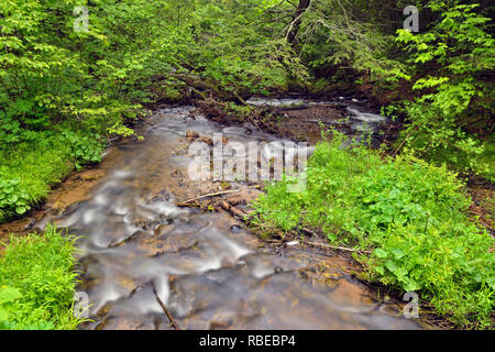 Wagner Creek, Wagner fällt, malerischen Ort, Alger County, Michigan, USA Stockfoto