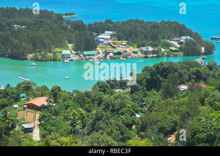 Die Mutter und die Baum der Coco de Mer, eine seltene Art, die von Palm Tree native auf den Seychellen Archipel im Indischen Ozean. Stockfoto