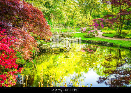 Teich mit Frühling blühende Bäume im japanischen Garten in Den Haag, Niederlande, Retro getönt Stockfoto