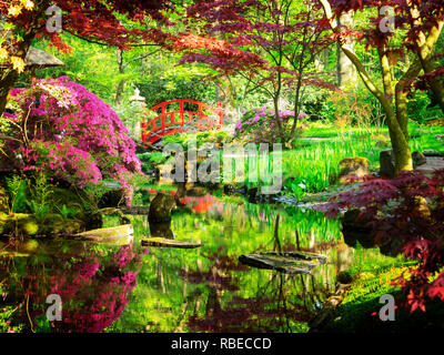 Grünes Gras und blühende Bäume im japanischen Garten in Den Haag, Holland, Retro getönt Stockfoto