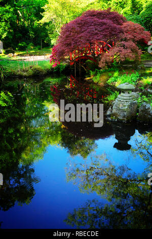 Teich mit grünem Gras und blühende Bäume im japanischen Garten in Den Haag, Niederlande, Retro getönt Stockfoto