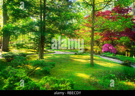 Grüne Gras Lane und blühende Bäume im japanischen Garten in Den Haag, Niederlande, Retro getönt Stockfoto