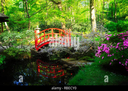 Rote Brücke mit blühenden Bäumen im japanischen Garten in Den Haag, Holland, Retro getönt Stockfoto