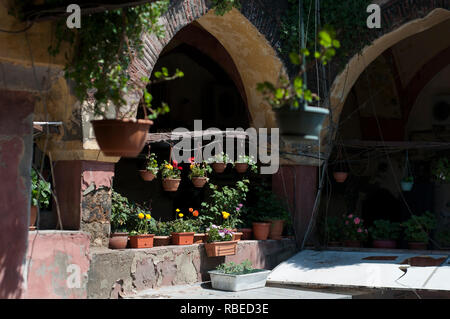 Einen Hinterhof mit Blumen in Istanbul, Türkei Stockfoto