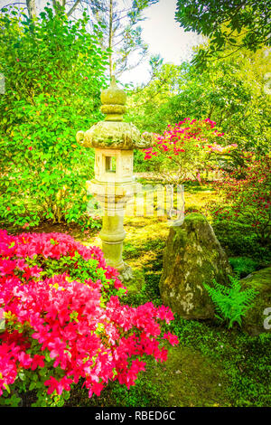 Grünes Gras und blühende Bäume im Frühling japanischer Garten in Den Haag, Niederlande, Retro getönt Stockfoto