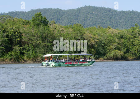 Touristen auf einem Dschungel König Daintree Bootsfahrt auf dem Daintree River, Daintree Nationalpark und feuchten Tropen, Far North Queensland, FNQ, QLD, Australien Stockfoto