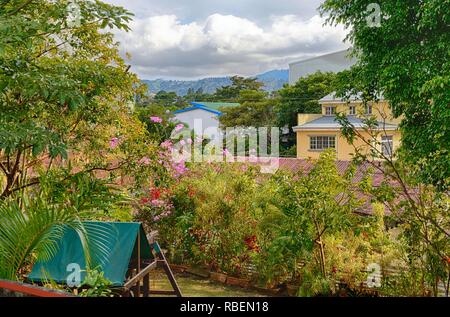 Blick vom Garten auf die Berge Stockfoto
