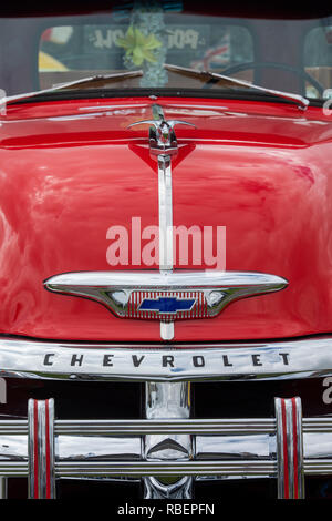 1954 Chevrolet 3100 Pickup-truck Stockfoto