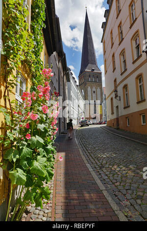 St. Petri in Rostock mit Hollyhocks, Deutschland Stockfoto