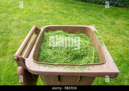 Gras schneiden, bin Stockfoto