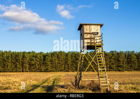 Hilltop, Waldrand, Stockfoto