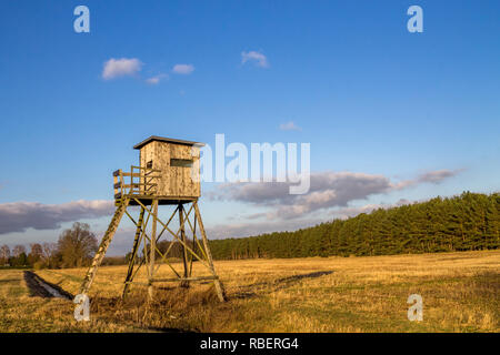 Hilltop, Waldrand, Stockfoto