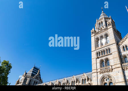 National History Museum in London Stockfoto