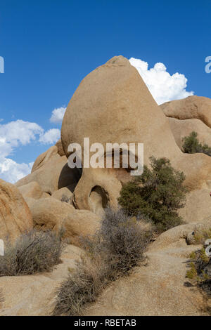 Skull Rock im Joshua Tree National Park, Kalifornien, USA. Stockfoto