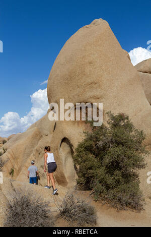 Besucher letzten Skull Rock im Joshua Tree National Park, Kalifornien, USA. Stockfoto