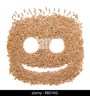 Lustiges Gesicht mit alternativen Biokraftstoffe aus Sägemehl Pellets hergestellt. Stockfoto