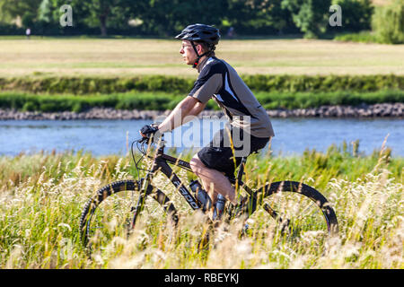 Ein Radfahrer fährt auf einem Radweg entlang der Elbe, Dresden, Deutschland Dresden Elbwiese Stockfoto