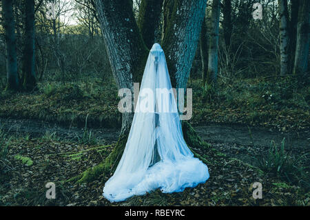 Ein gruseliges Foto von einem Schaf Schädel in ein gespenstisches Blatt in einem Wald im Winter abgedeckt. Mit einem stumm geschalteten bearbeiten. Stockfoto