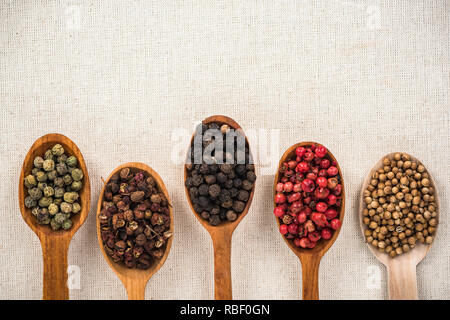 Auswahl der Pfeffer Samen auf Holzlöffel. Gewürz und Aroma Konzept. Stockfoto