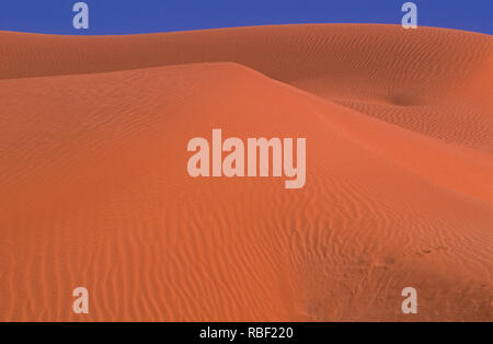 E Simpson Desert ist ein großer Bereich von trockenen, roten Sandstrand und Dünen in Northern Territory, South Australia und Queensland in Australien Stockfoto