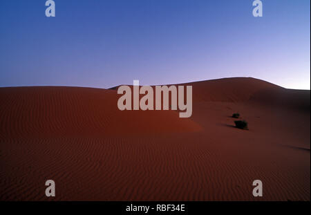 Die Simpson Desert ist ein großes Gebiet mit trockenen, roten Sandflächen und Dünen im Northern Territory, South Australia und Queensland in Zentralaustralien Stockfoto