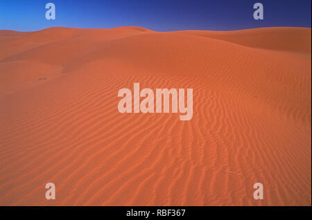 E Simpson Desert ist ein großer Bereich von trockenen, roten Sandstrand und Dünen in Northern Territory, South Australia und Queensland in Australien Stockfoto