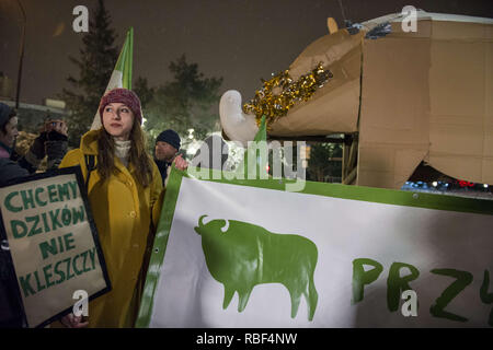 Warszawa, Mazowieckie, Polen. 9 Jan, 2019. Eine Demonstrantin hält ein Plakat gesehen, während des Protestes. Aktivisten waren vor dem Gebäude des Parlaments und im ganzen Land zu protestieren. Die polnische Regierung und das Ministerium für die Umwelt entschieden, dass im Rahmen der Bekämpfung von ASF-Krankheit (Afrikanische Schweinepest), 210.000 Wildschweine, einschließlich trächtige Sauen und Absatzferkeln, auch das Leben in den Nationalparks, in Polen wird slained auf der nächsten drei Wochenenden werden. Credit: ZUMA Press, Inc./Alamy leben Nachrichten Stockfoto