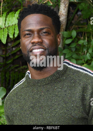 Beverly Hills, CA, USA. Januar 2019. 30. Oktober 2018 – Beverly Hills, Kalifornien – Kevin Hart. "The Upside" Fotoanruf im Four Seasons in Beverly Hills. Foto: Birdie Thompson/AdMedia Stockfoto