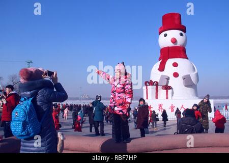 Harbin, Harbin, China. 10 Jan, 2019. Harbin, China - schneemänner von Studierenden aus Hochschulen können an Dalin Park in Harbin, Provinz Heilongjiang gesehen werden. Credit: SIPA Asien/ZUMA Draht/Alamy leben Nachrichten Stockfoto
