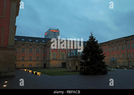 Potsdam, Deutschland. 29 Dez, 2018. Weißem bergahorn Baum steht im Innenhof des Potsdamer Stadtschlosses (Sitz der Brandenburger Landtag), auf 29.12.2018 | Verwendung der weltweiten Kredit genommen: dpa/Alamy leben Nachrichten Stockfoto